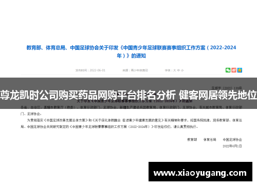 尊龙凯时公司购买药品网购平台排名分析 健客网居领先地位