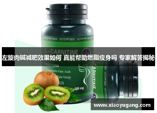 左旋肉碱减肥效果如何 真能帮助燃脂瘦身吗 专家解答揭秘
