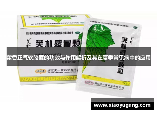 藿香正气软胶囊的功效与作用解析及其在夏季常见病中的应用