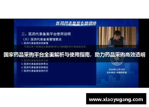 国家药品采购平台全面解析与使用指南，助力药品采购高效透明