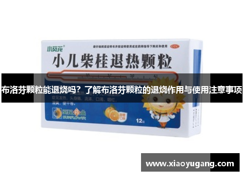 布洛芬颗粒能退烧吗？了解布洛芬颗粒的退烧作用与使用注意事项